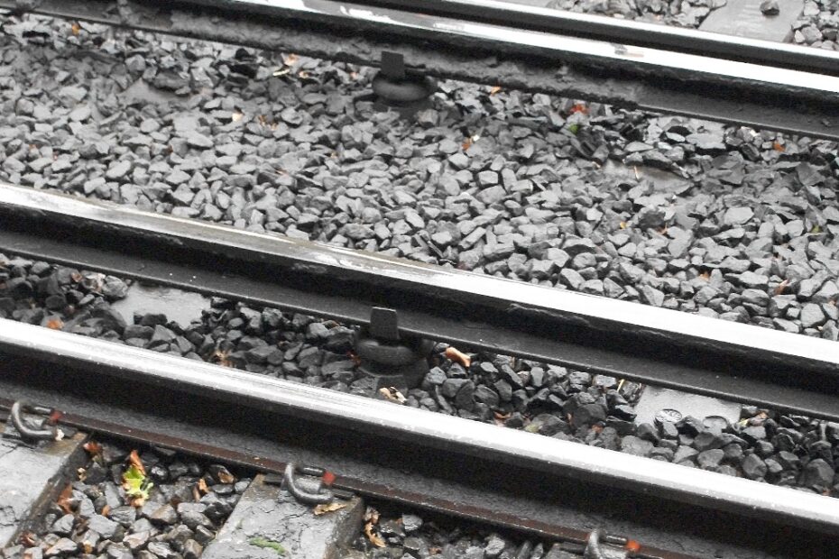 the+third+rail